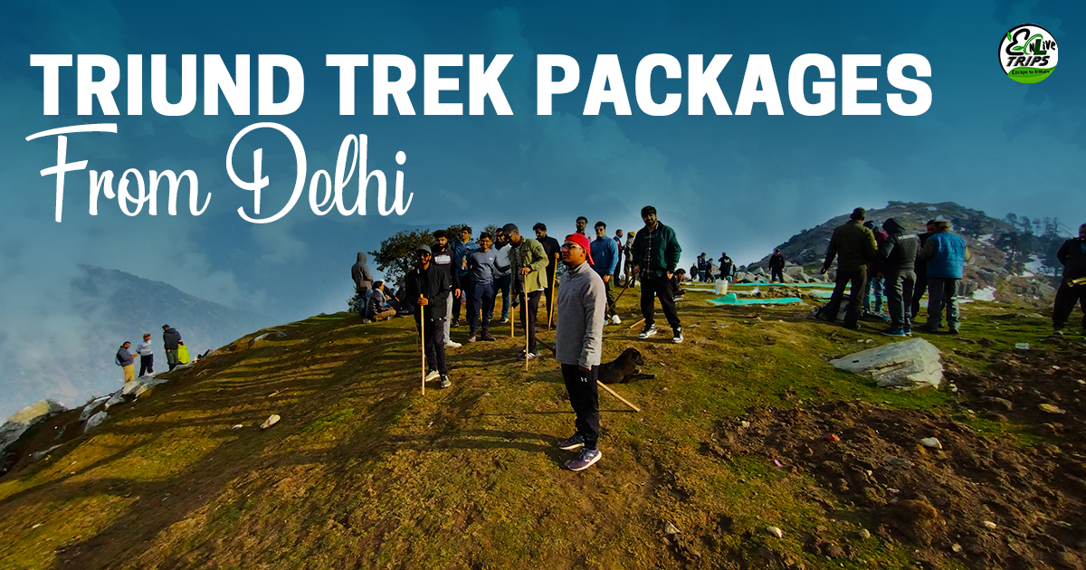Delhi to Triund package